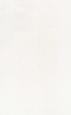 Ауленсия серый матовый 25x40x0,8