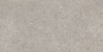Риккарди серый светлый матовый обрезной 60x119,5x0,9