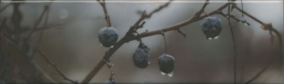 Декор Тракай 8 глянцевый 8,5x28,5x0,85