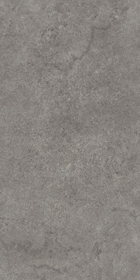 Портленд серый тёмный матовый обрезной 60x119,5x2