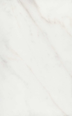 Гран Пале белый глянцевый 25x40x0,8 Гран Пале белый глянцевый 25x40x0,8